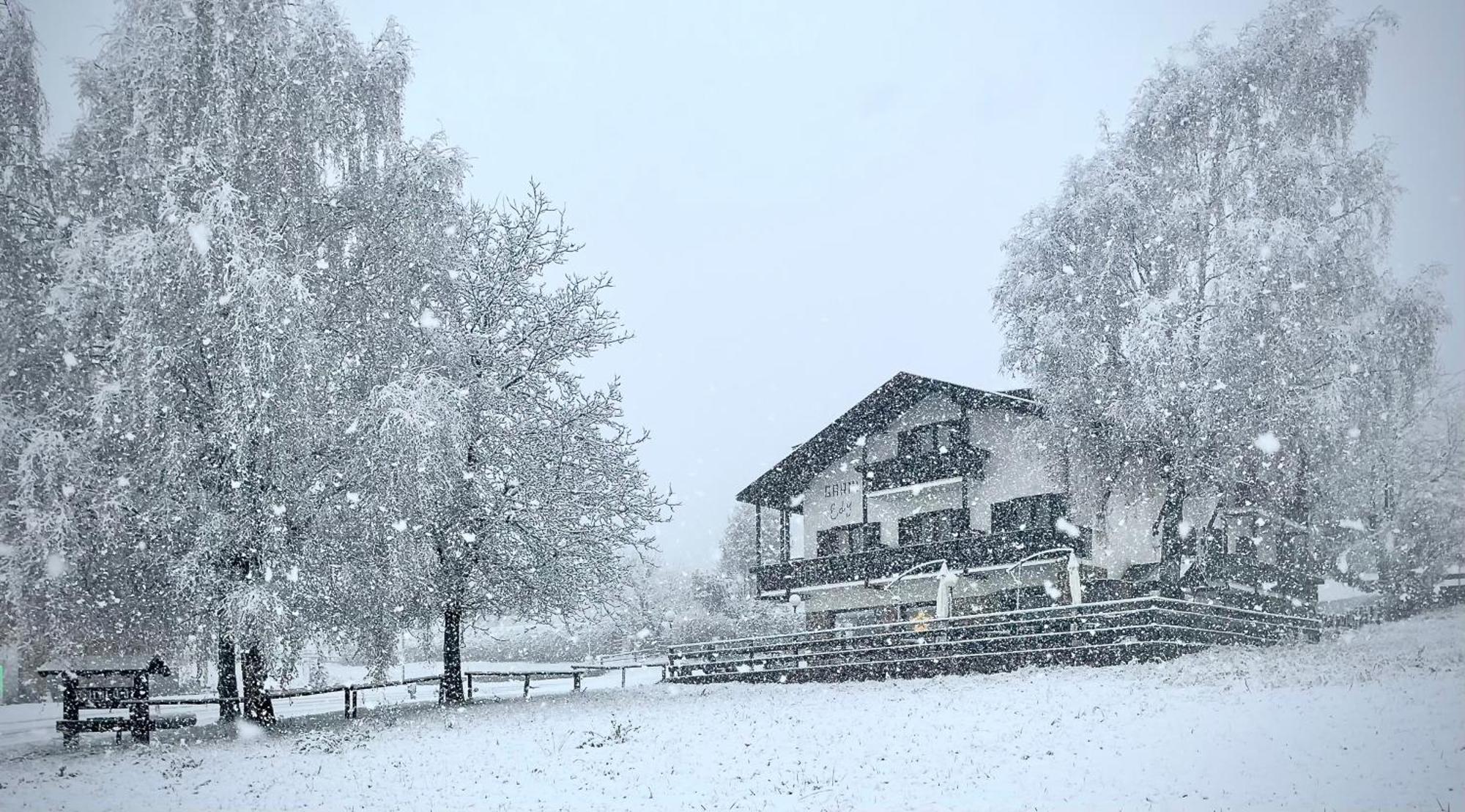 Hotel Garni Edy Daiano Buitenkant foto